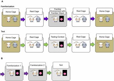 Altering Perceived Context: Transportation Cues Influence Novelty-Induced Context Exploration